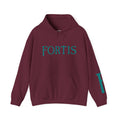 Fortis Hooded Sweatshirt Pullover